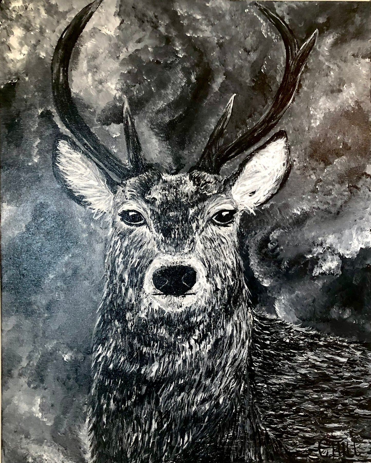 Harry the deer