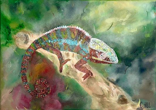 Peter the Chameleon